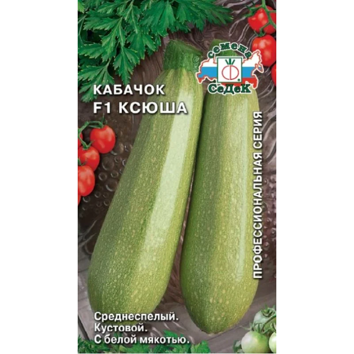 КСЮША