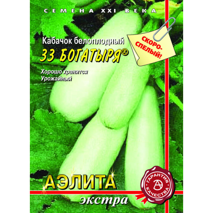 33 БОГАТЫРЯ