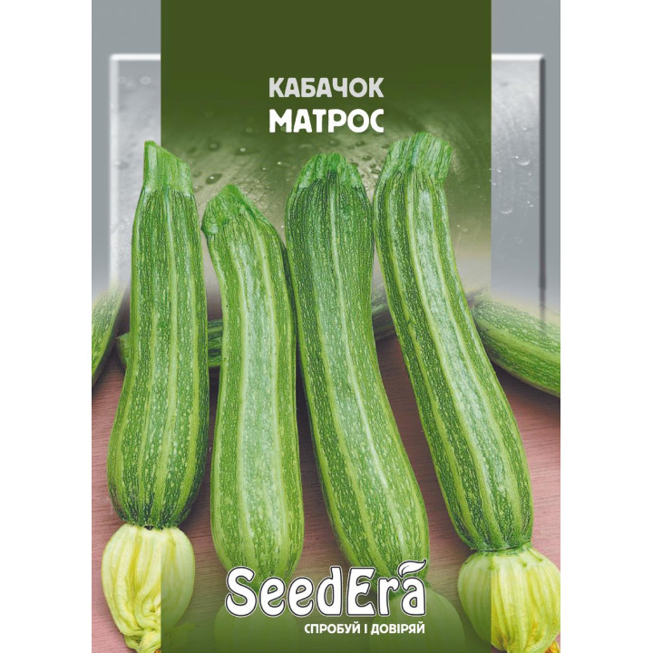 МАТРОСКИН