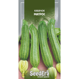 МАТРОС