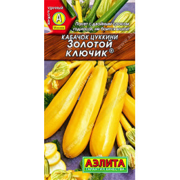 ЗОЛОТОЙ КЛЮЧИК