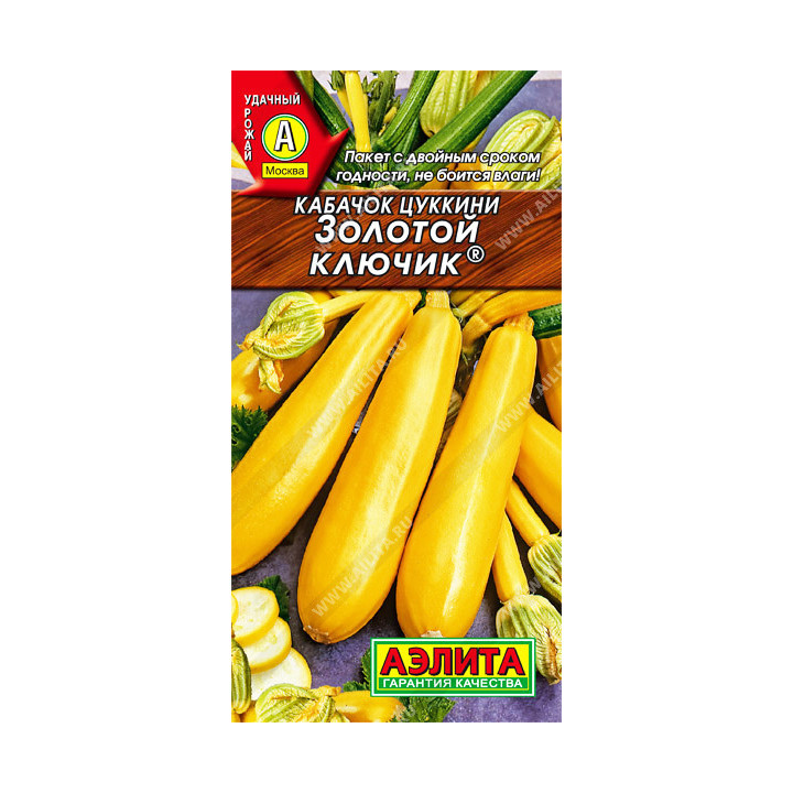 ЗОЛОТОЙ КЛЮЧИК