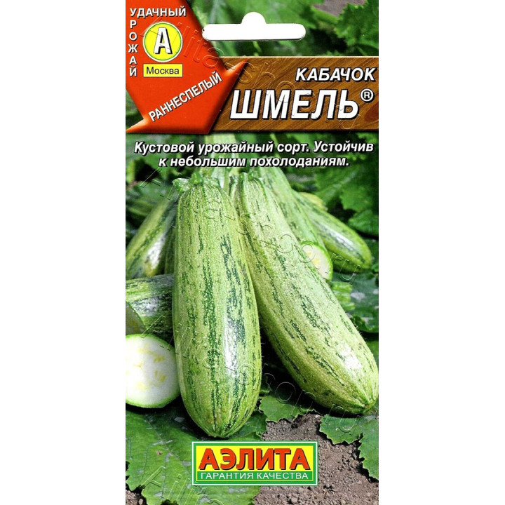 ШМЕЛЬ