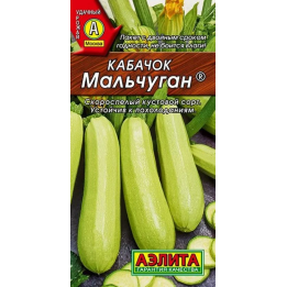 МАЛЬЧУГАН
