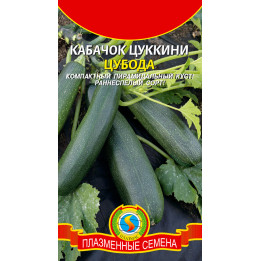 ЦУБОДА