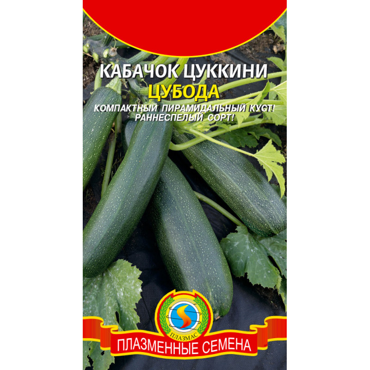 ЦУБОДА
