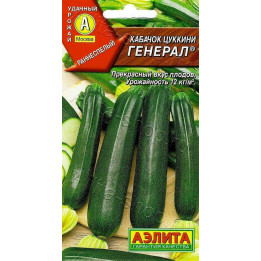 ГЕНЕРАЛ