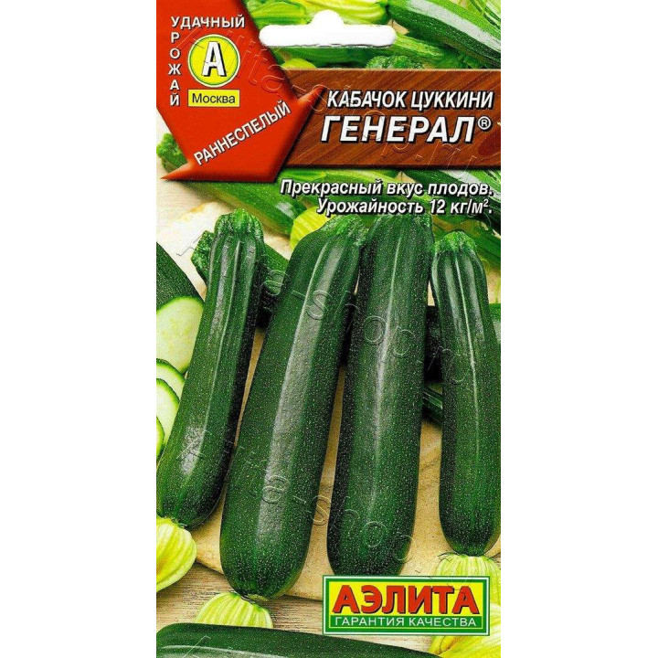 ГЕНЕРАЛ