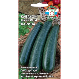 КАРИНА