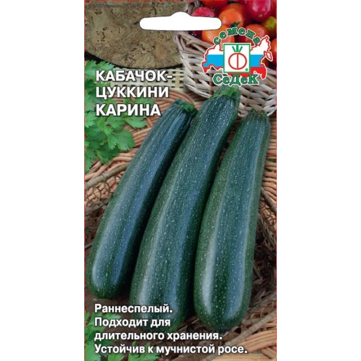 КАРИНА