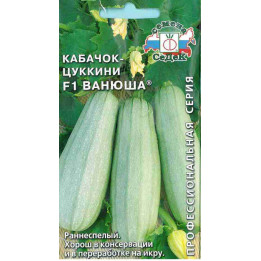 ВАНЮША