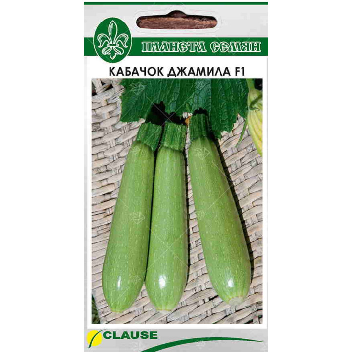 ДЖАМИЛА