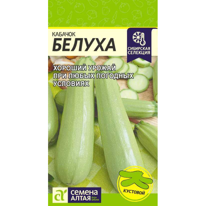 БЕЛУХА