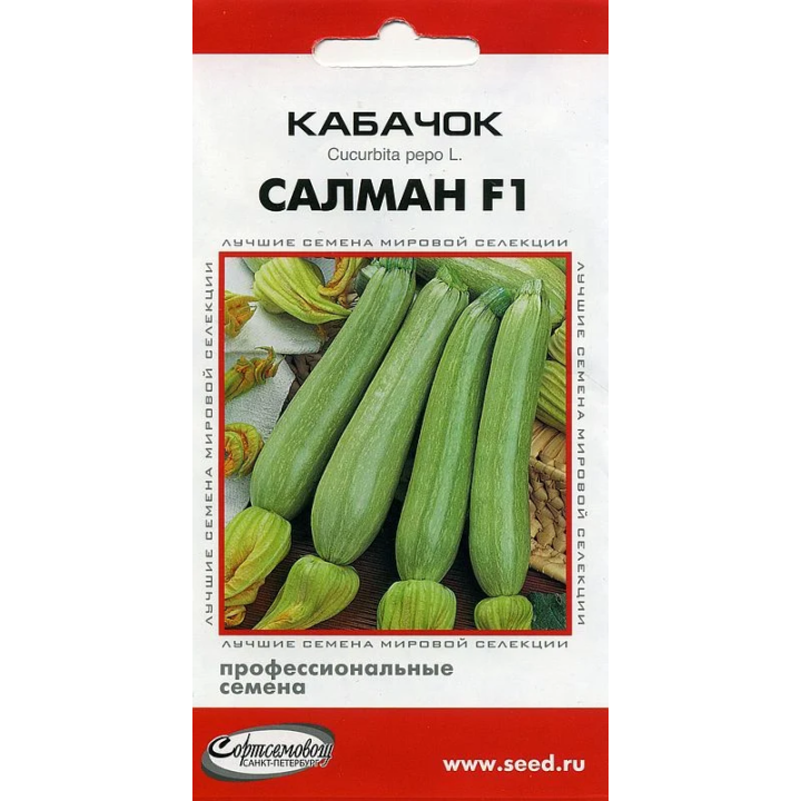 САЛМАН