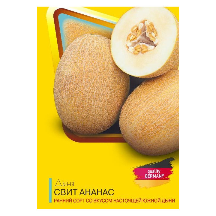 СВИТТИ