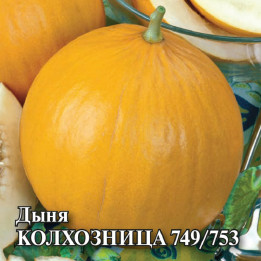ДСМ 06
