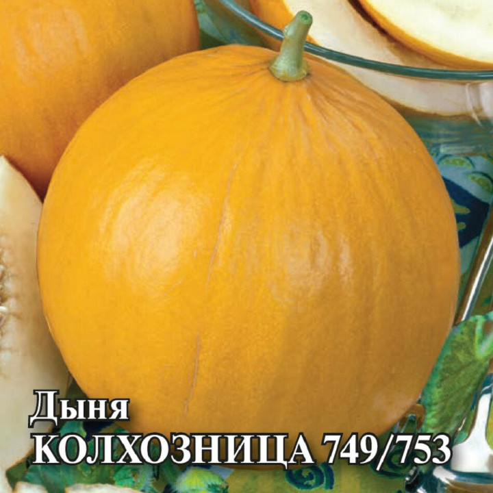 ДСМ 06