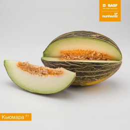 КЬЮМАРА
