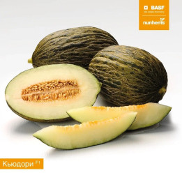 КЬЮДОРИ