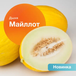 МАЙЛЛОТ