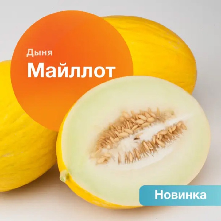 МАЙЛЛОТ
