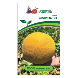 АМИНА