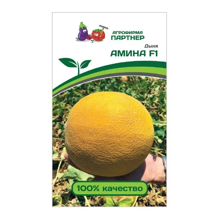 АМИНА