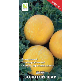 ЗОЛОТОЙ ШАР