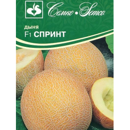 СПРИНТ
