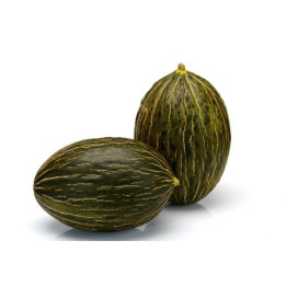 РИКУРА