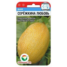 ЛЮБАВА