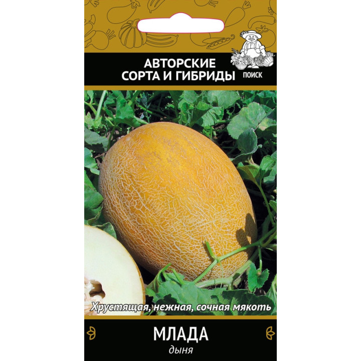 МЛАДА