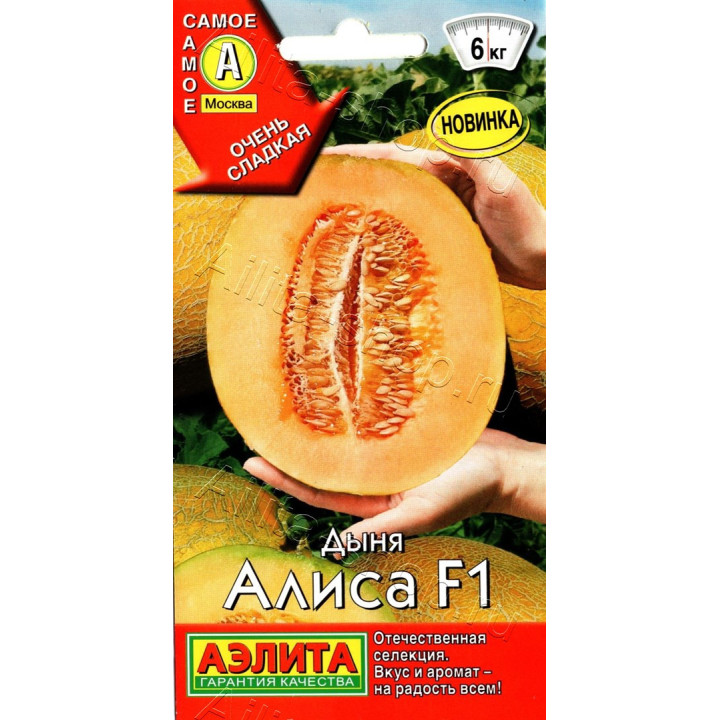 АЛИСА