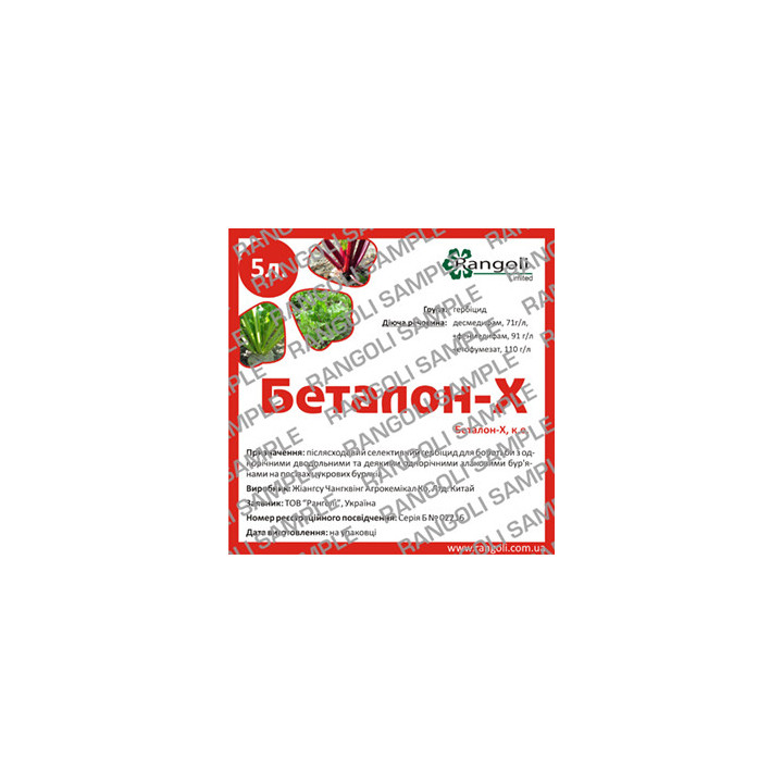 Беталон-Х