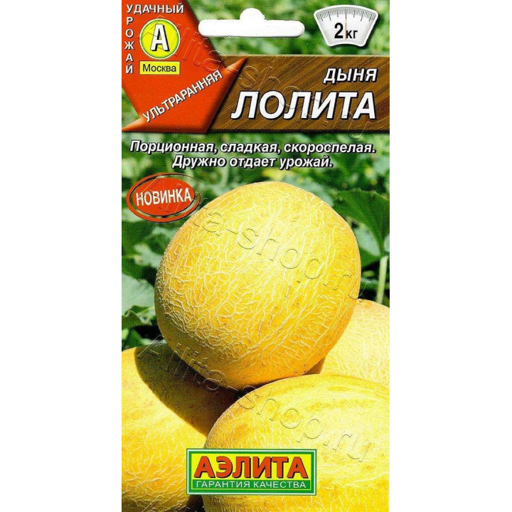 ЛОЛИТА