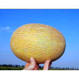 ДЮНА