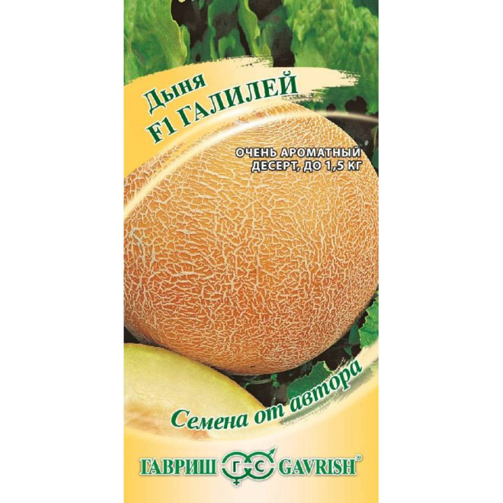 ГАЛИЛЕЙ