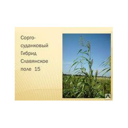 СЛАВЯНСКОЕ ПОЛЕ 15