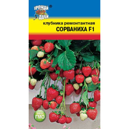 УДАЧА