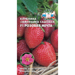РОЗОВАЯ МЕЧТА