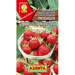 ЛЮБАША