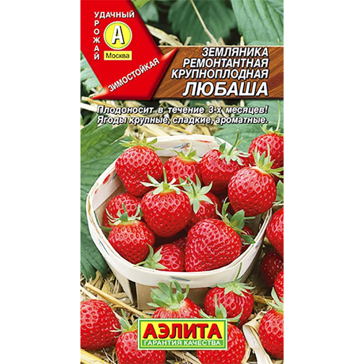 ЛЮБАША