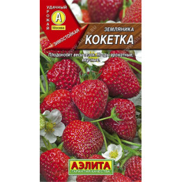 КОКЕТКА