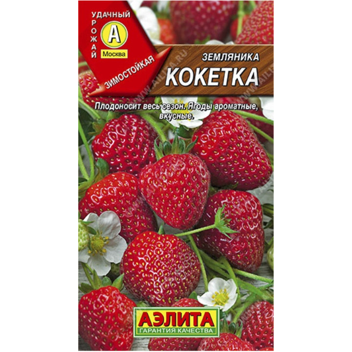 КОКЕТКА