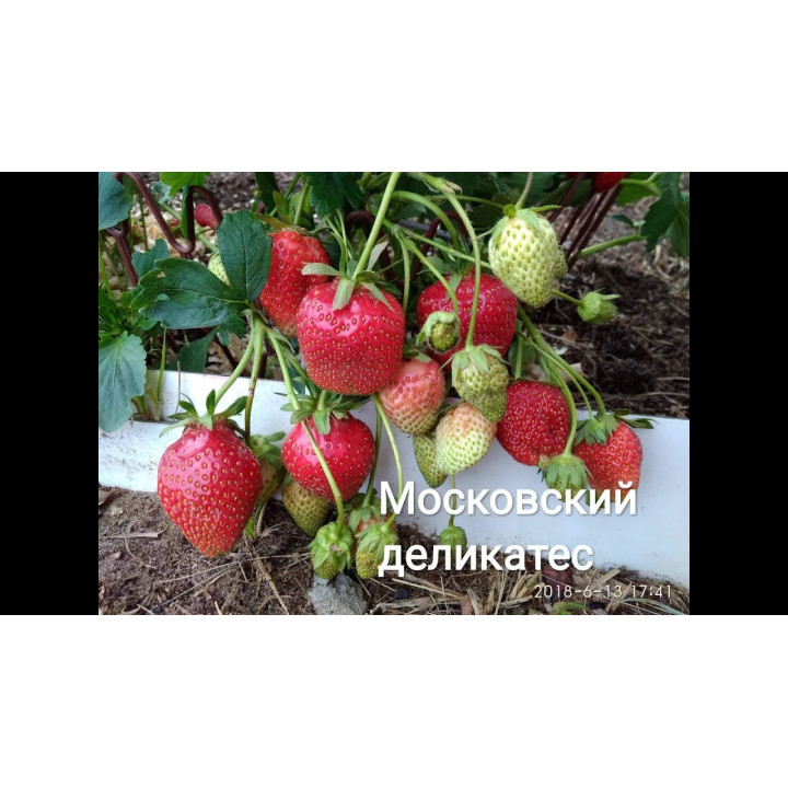 МОСКОВСКИЙ ДЕЛИКАТЕС