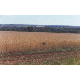КИРОВСКАЯ 89