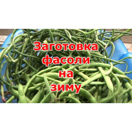 КУПАВА