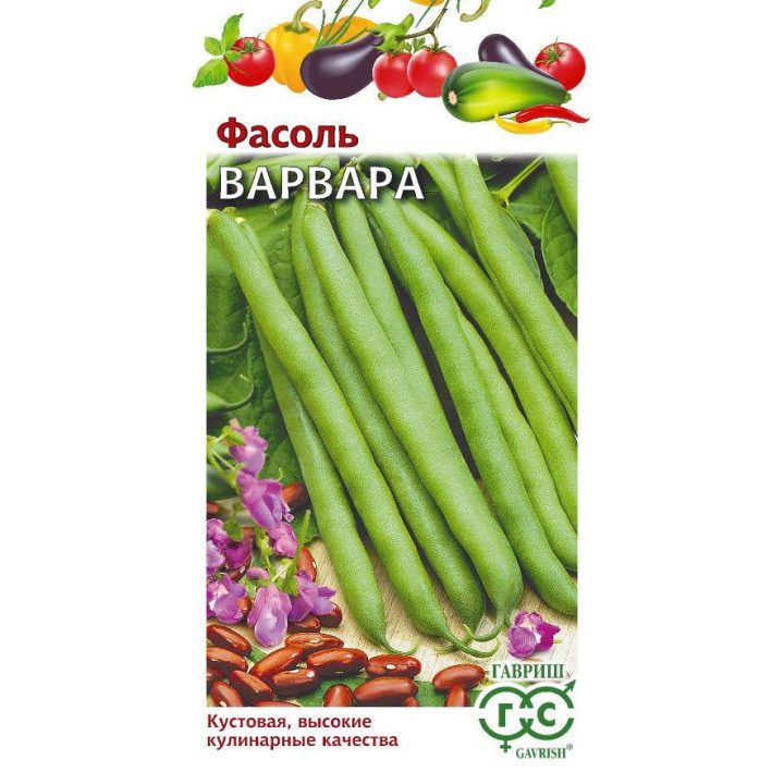 ВАРВАРА