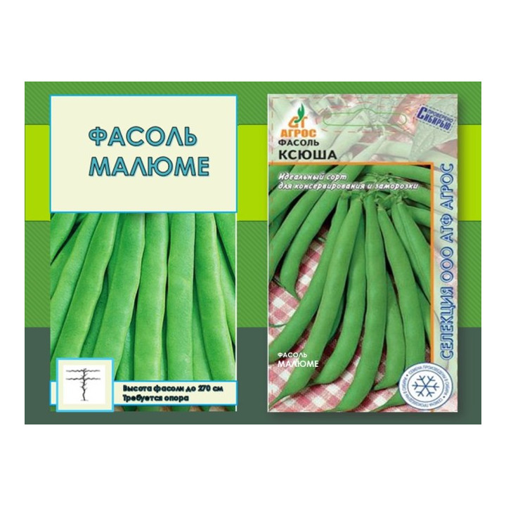 МАЛЮМЕ