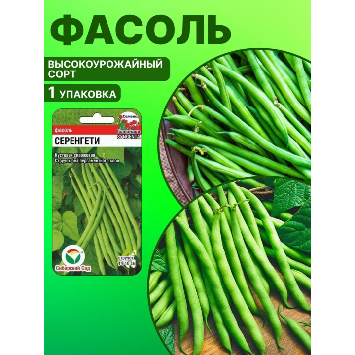 ПИНОККИО